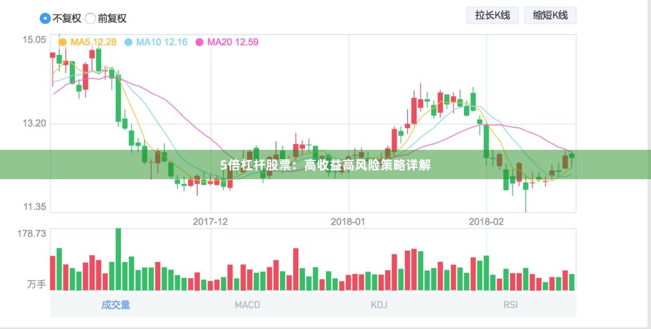5倍杠杆股票：高收益高风险策略详解