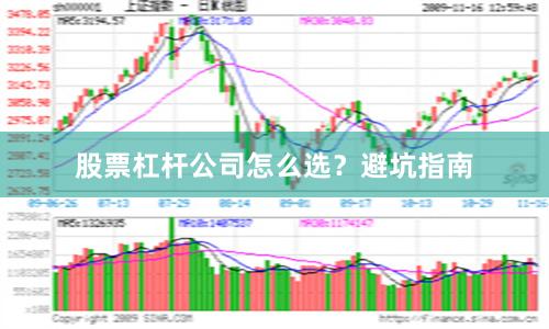 股票杠杆公司怎么选？避坑指南